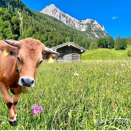 Sparfuchs - Fewo Resi Mittenwald Exterior foto